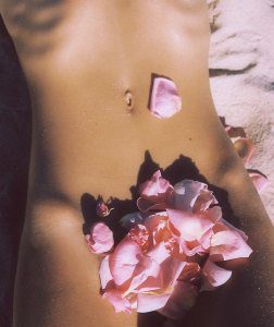 womens body with rose petal on top of the vulva