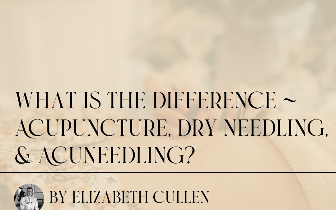What is the difference between Acupuncture, Dry Needling and Acuneedling? ~