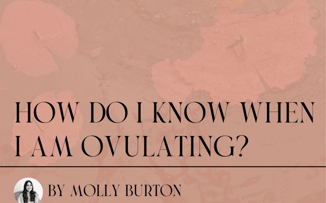 How do I know when I am ovulating? ~
