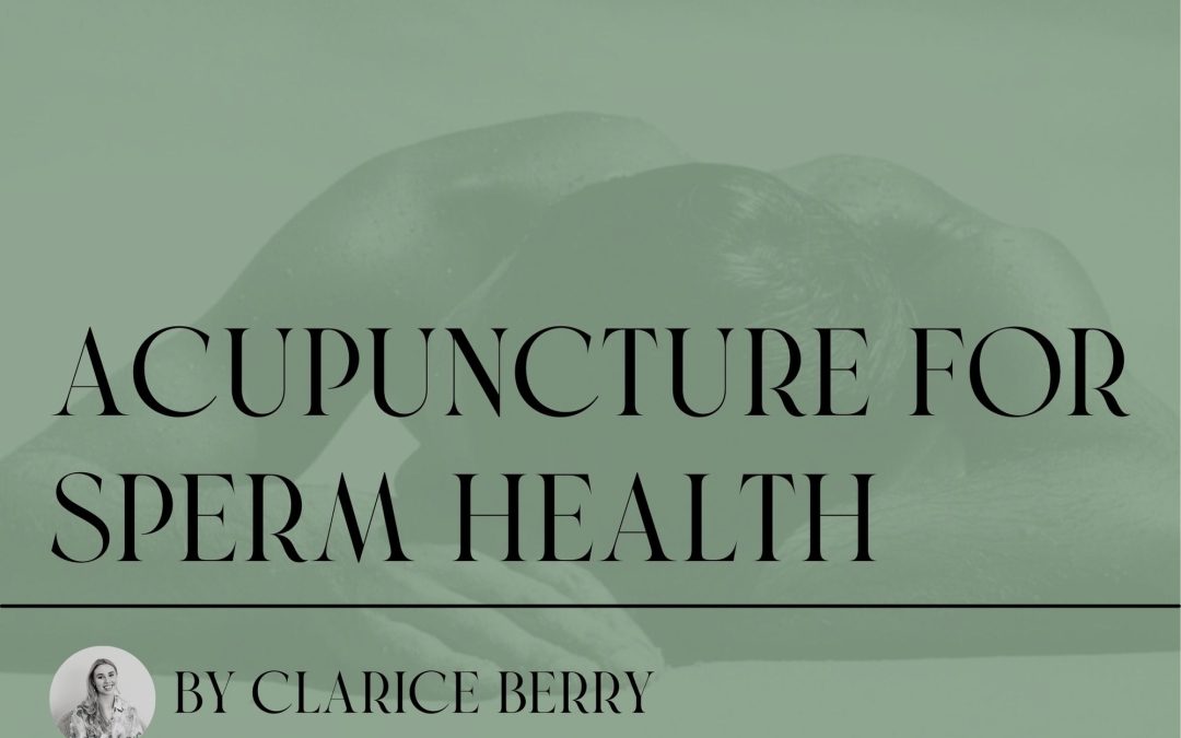 How does Acupuncture support Sperm Health?